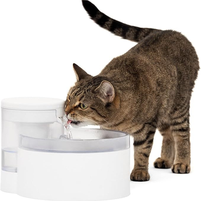 Fontaine à Eau Outlast sans Pompe, 1,7 L