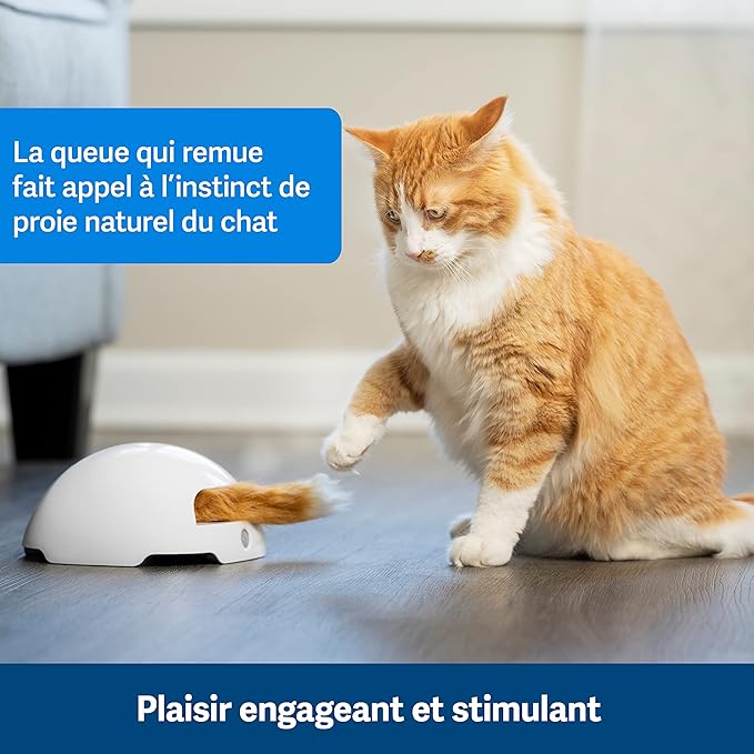Jouet Automatique Interactif
